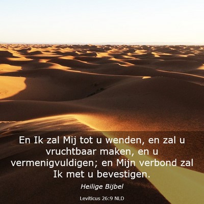 Picture 03 - Leviticus 26:9 NLD - En Ik zal Mij tot u wenden, en zal u vruchtbaar - Bible Verse Picture