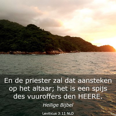 Picture 03 - Leviticus 3:11 NLD - En de priester zal dat aansteken op het altaar; - Bible Verse Picture