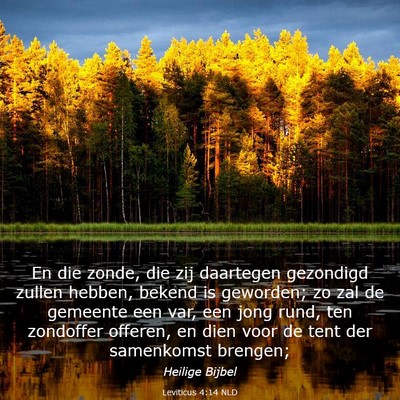 Picture 03 - Leviticus 4:14 NLD - En die zonde, die zij daartegen gezondigd zullen - Bible Verse Picture