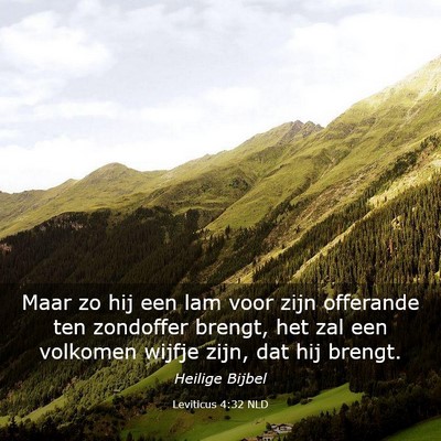 Picture 03 - Leviticus 4:32 NLD - Maar zo hij een lam voor zijn offerande ten - Bible Verse Picture