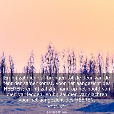 Picture 03 - Leviticus 4:4 NLD - En hij zal dien var brengen tot de deur van de - Bible Verse Picture