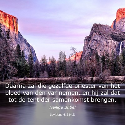 Picture 03 - Leviticus 4:5 NLD - Daarna zal die gezalfde priester van het bloed - Bible Verse Picture