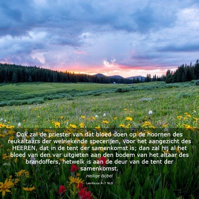 Picture 03 - Leviticus 4:7 NLD - Ook zal de priester van dat bloed doen op de - Bible Verse Picture