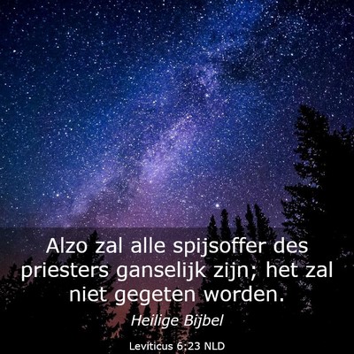 Picture 03 - Leviticus 6:23 NLD - Alzo zal alle spijsoffer des priesters ganselijk - Bible Verse Picture