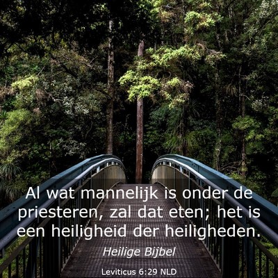 Picture 03 - Leviticus 6:29 NLD - Al wat mannelijk is onder de priesteren, zal dat - Bible Verse Picture