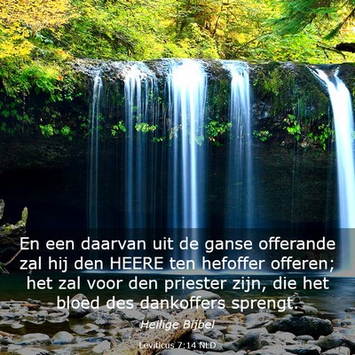 Picture 03 - Leviticus 7:14 NLD - En een daarvan uit de ganse offerande zal hij den - Bible Verse Picture