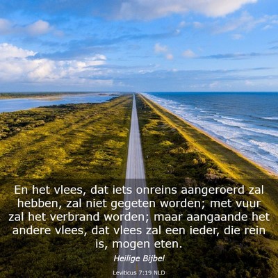 Picture 03 - Leviticus 7:19 NLD - En het vlees, dat iets onreins aangeroerd zal - Bible Verse Picture