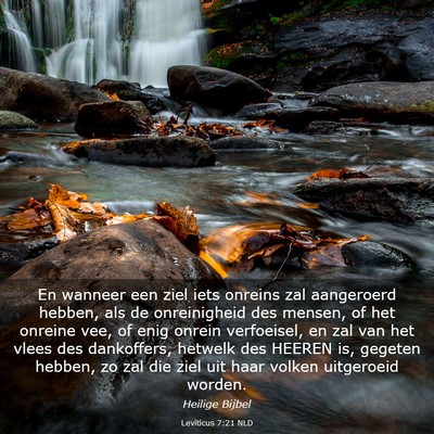Picture 03 - Leviticus 7:21 NLD - En wanneer een ziel iets onreins zal aangeroerd - Bible Verse Picture