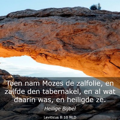 Picture 03 - Leviticus 8:10 NLD - Toen nam Mozes de zalfolie, en zalfde den - Bible Verse Picture