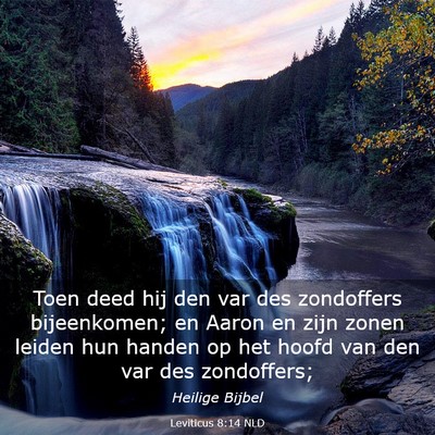 Picture 03 - Leviticus 8:14 NLD - Toen deed hij den var des zondoffers bijeenkomen; - Bible Verse Picture