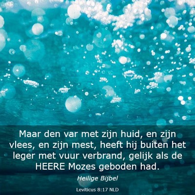 Picture 03 - Leviticus 8:17 NLD - Maar den var met zijn huid, en zijn vlees, en - Bible Verse Picture