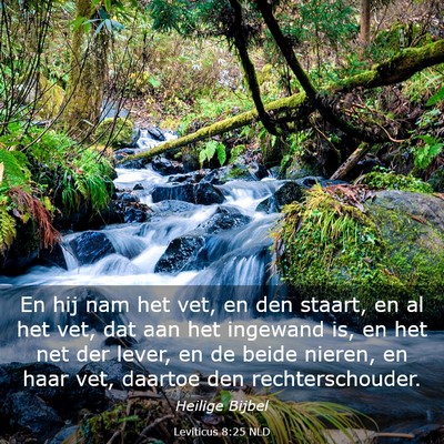 Picture 03 - Leviticus 8:25 NLD - En hij nam het vet, en den staart, en al het vet, - Bible Verse Picture