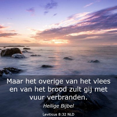 Picture 03 - Leviticus 8:32 NLD - Maar het overige van het vlees en van het brood - Bible Verse Picture