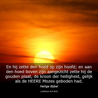 Picture 03 - Leviticus 8:9 NLD - En hij zette den hoed op zijn hoofd; en aan den - Bible Verse Picture