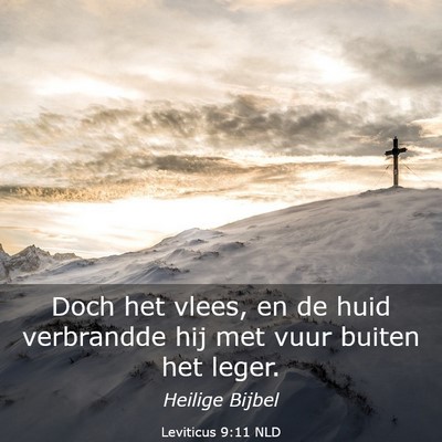 Picture 03 - Leviticus 9:11 NLD - Doch het vlees, en de huid verbrandde hij met - Bible Verse Picture