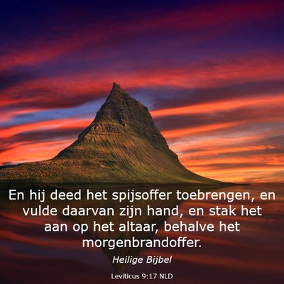 Picture 03 - Leviticus 9:17 NLD - En hij deed het spijsoffer toebrengen, en vulde - Bible Verse Picture