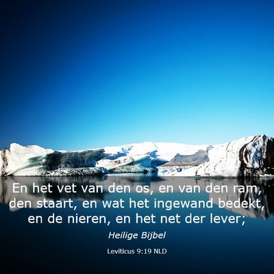 Picture 03 - Leviticus 9:19 NLD - En het vet van den os, en van den ram, den - Bible Verse Picture