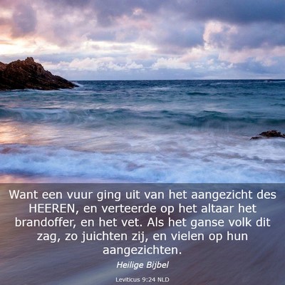 Picture 03 - Leviticus 9:24 NLD - Want een vuur ging uit van het aangezicht des - Bible Verse Picture