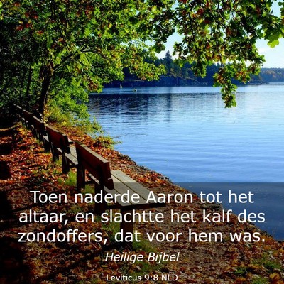 Picture 03 - Leviticus 9:8 NLD - Toen naderde Aaron tot het altaar, en slachtte - Bible Verse Picture