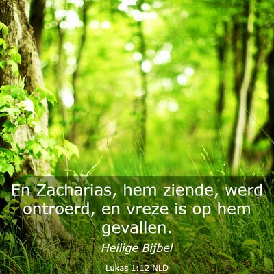 Picture 03 - Lukas 1:12 NLD - En Zacharias, hem ziende, werd ontroerd, en vreze - Bible Verse Picture