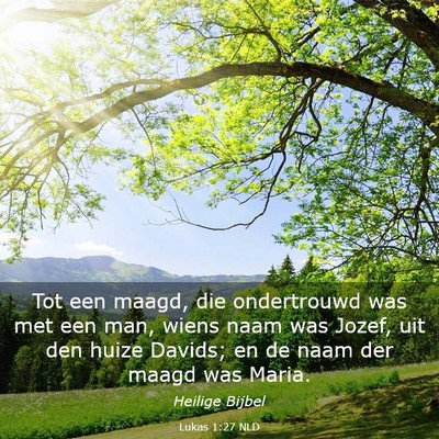 Picture 03 - Lukas 1:27 NLD - Tot een maagd, die ondertrouwd was met een man, - Bible Verse Picture
