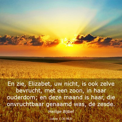 Picture 03 - Lukas 1:36 NLD - En zie, Elizabet, uw nicht, is ook zelve - Bible Verse Picture