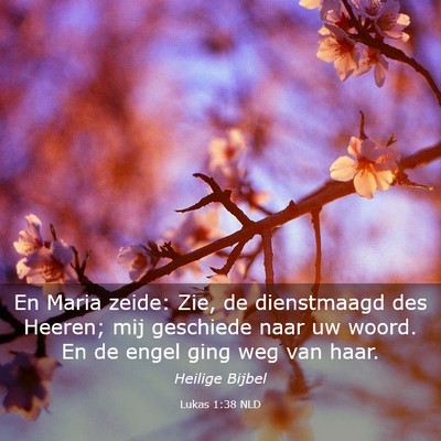 Picture 03 - Lukas 1:38 NLD - En Maria zeide: Zie, de dienstmaagd des Heeren; - Bible Verse Picture