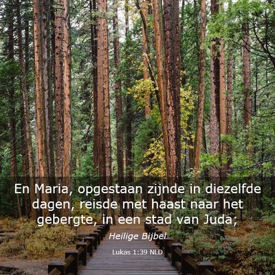 Picture 03 - Lukas 1:39 NLD - En Maria, opgestaan zijnde in diezelfde dagen, - Bible Verse Picture