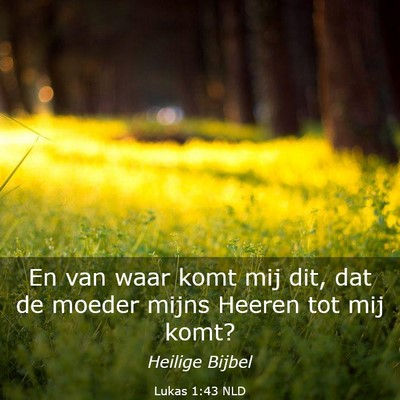 Picture 03 - Lukas 1:43 NLD - En van waar komt mij dit, dat de moeder mijns - Bible Verse Picture