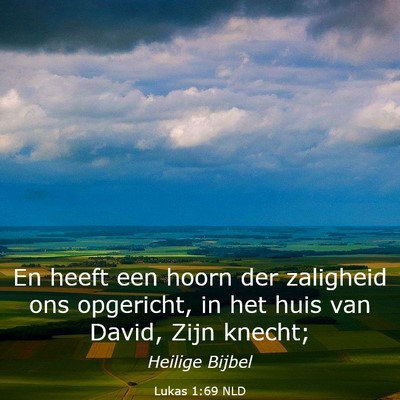 Picture 03 - Lukas 1:69 NLD - En heeft een hoorn der zaligheid ons opgericht, - Bible Verse Picture