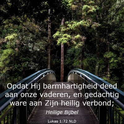 Picture 03 - Lukas 1:72 NLD - Opdat Hij barmhartigheid deed aan onze vaderen, - Bible Verse Picture