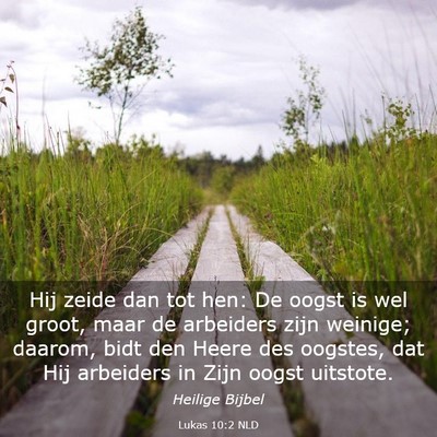 Picture 03 - Lukas 10:2 NLD - Hij zeide dan tot hen: De oogst is wel groot, - Bible Verse Picture