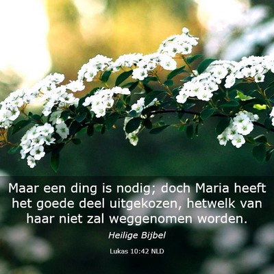 Picture 03 - Lukas 10:42 NLD - Maar een ding is nodig; doch Maria heeft het - Bible Verse Picture