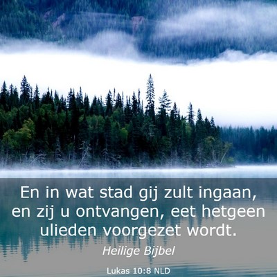 Picture 03 - Lukas 10:8 NLD - En in wat stad gij zult ingaan, en zij u - Bible Verse Picture