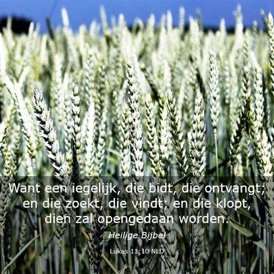 Picture 03 - Lukas 11:10 NLD - Want een iegelijk, die bidt, die ontvangt; en die - Bible Verse Picture