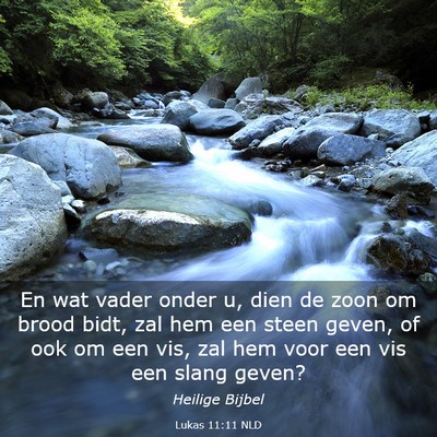 Picture 03 - Lukas 11:11 NLD - En wat vader onder u, dien de zoon om brood bidt, - Bible Verse Picture