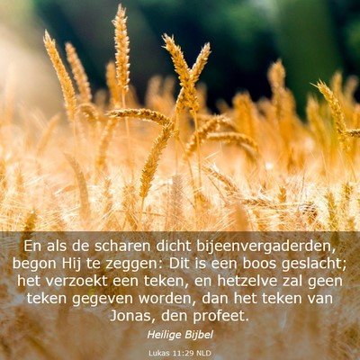 Picture 03 - Lukas 11:29 NLD - En als de scharen dicht bijeenvergaderden, begon - Bible Verse Picture