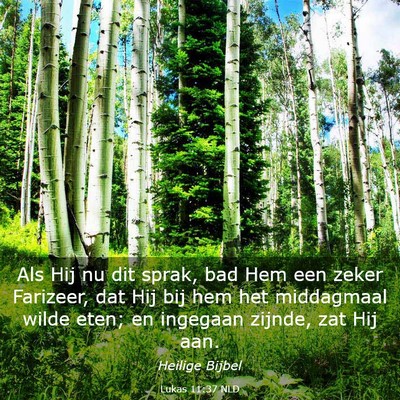 Picture 03 - Lukas 11:37 NLD - Als Hij nu dit sprak, bad Hem een zeker Farizeer, - Bible Verse Picture