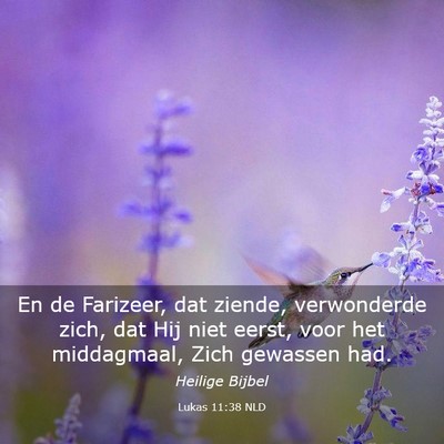 Picture 03 - Lukas 11:38 NLD - En de Farizeer, dat ziende, verwonderde zich, dat - Bible Verse Picture