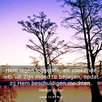 Picture 03 - Lukas 11:54 NLD - Hem lagen leggende, en zoekende iets uit Zijn - Bible Verse Picture