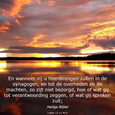 Picture 03 - Lukas 12:11 NLD - En wanneer zij u heenbrengen zullen in de - Bible Verse Picture