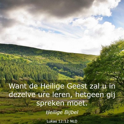 Picture 03 - Lukas 12:12 NLD - Want de Heilige Geest zal u in dezelve ure leren, - Bible Verse Picture