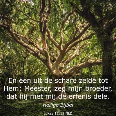Picture 03 - Lukas 12:13 NLD - En een uit de schare zeide tot Hem: Meester, zeg - Bible Verse Picture