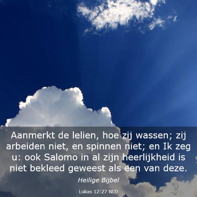Picture 03 - Lukas 12:27 NLD - Aanmerkt de lelien, hoe zij wassen; zij arbeiden - Bible Verse Picture