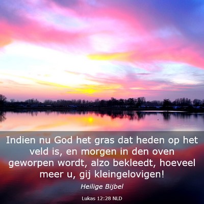 Picture 03 - Lukas 12:28 NLD - Indien nu God het gras dat heden op het veld is, - Bible Verse Picture