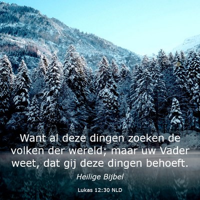 Picture 03 - Lukas 12:30 NLD - Want al deze dingen zoeken de volken der wereld; - Bible Verse Picture