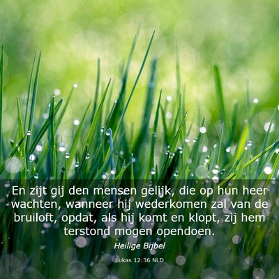 Picture 03 - Lukas 12:36 NLD - En zijt gij den mensen gelijk, die op hun heer - Bible Verse Picture