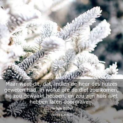 Picture 03 - Lukas 12:39 NLD - Maar weet dit, dat, indien de heer des huizes - Bible Verse Picture