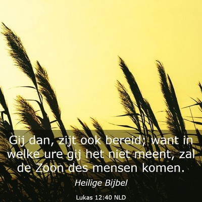 Picture 03 - Lukas 12:40 NLD - Gij dan, zijt ook bereid; want in welke ure gij - Bible Verse Picture
