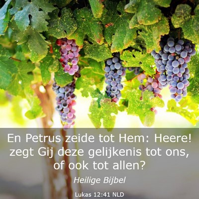 Picture 03 - Lukas 12:41 NLD - En Petrus zeide tot Hem: Heere! zegt Gij deze - Bible Verse Picture